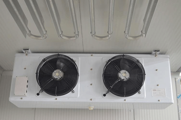 Cold room air coolers